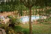 La piscine vue de la terrasse
