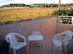 La terrasse de la chambre Aphyllante