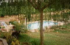 La piscine vue de la terrasse